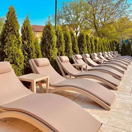 Hotel Brvnara Antika *